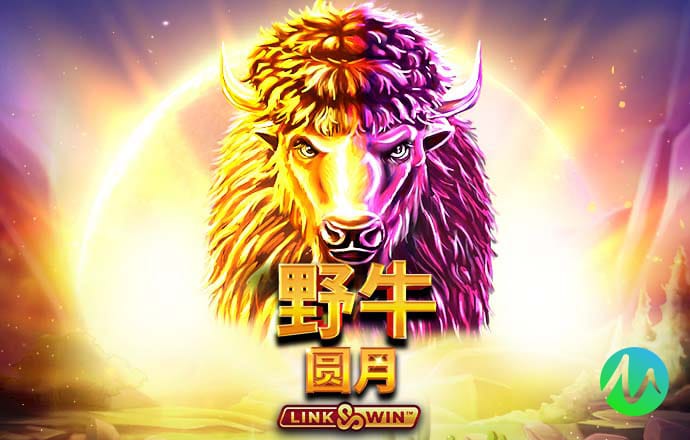 幻影体育官网首页